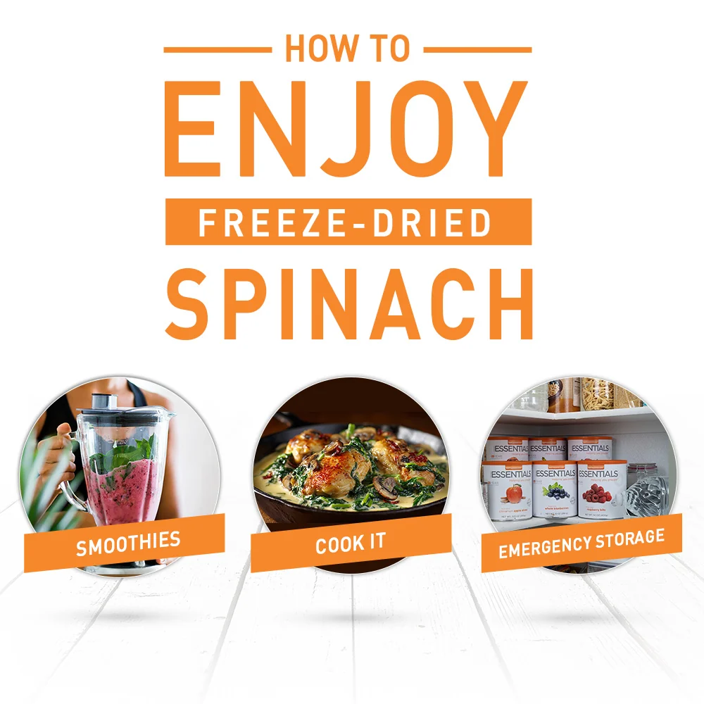 Emergency Essentials® Freeze-Dried Chopped Spinach Large #10 Can - Image 3